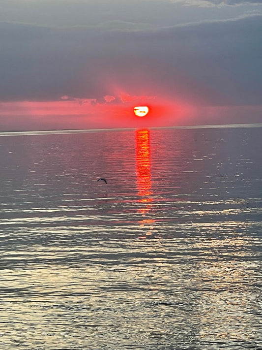 The Real-World Energy Hacks: No millions, No Time, No Bullsh*t